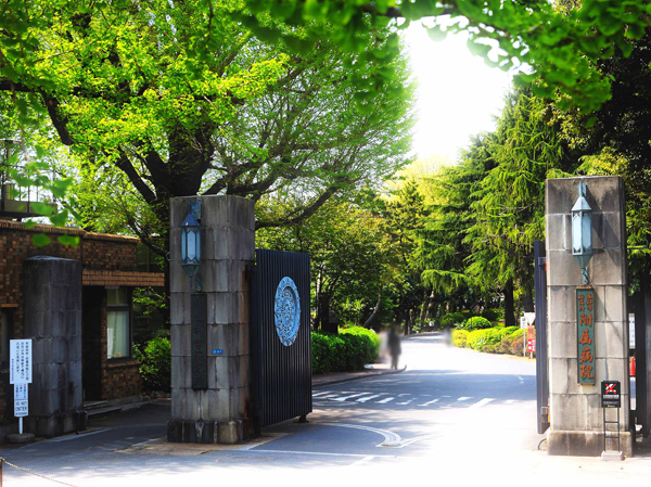 Surrounding environment. Surrounding environment