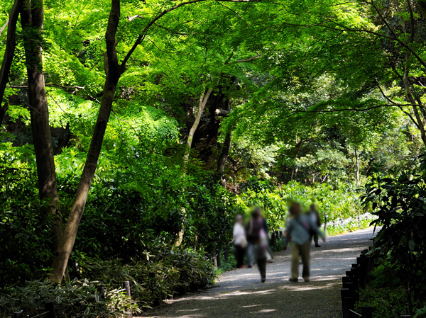 Surrounding environment. Surrounding environment