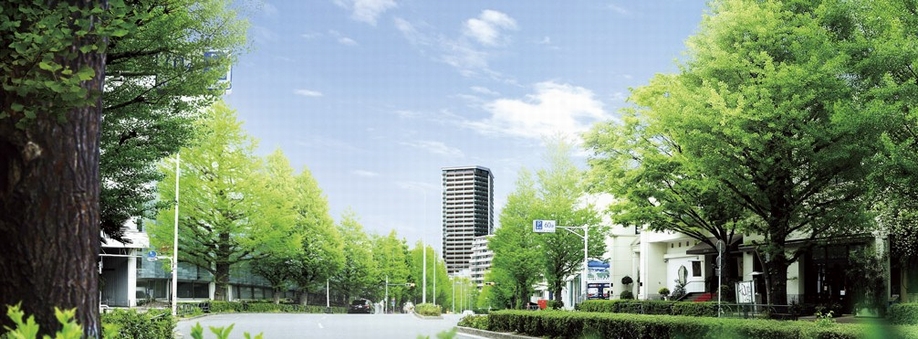 Exterior - Rendering with views of the local area from the Platinum Street