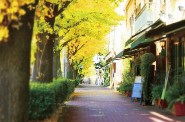 Platinum Street (about 530m ・ 7-minute walk)