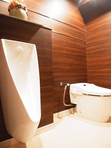 Toilet. Indoor (2013) Shooting