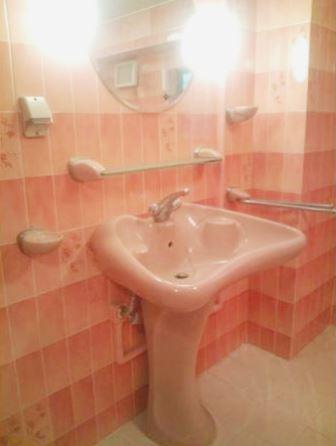 Wash basin, toilet. 3 dedicated unit with a bath in the room