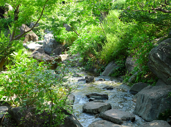 Surrounding environment. Hinokicho park (about 440m ・ 6-minute walk)