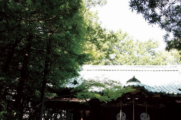 Building structure. Hikawa Shrine (about than local 220m / 3-minute walk / 2013.4 shooting)