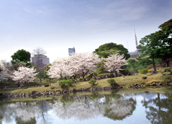 Surrounding environment. Kyu Shiba Rikyu Garden (about 780m) daimyo garden that remains after a time of 300 years ・ Old Shibarikyu Onshi Park. Deeply to inherit the eternal memory, It has spread to snuggle dark green.