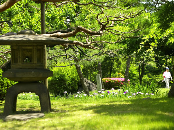 Surrounding environment. One of the typical daimyo garden of Hamarikyu garden (about 400m) Edo Period. Flowers and trees are abundantly planted, It is the spot that feels familiar the arrival of the four seasons. The park there is also a depot of the Tokyo waterfront line.