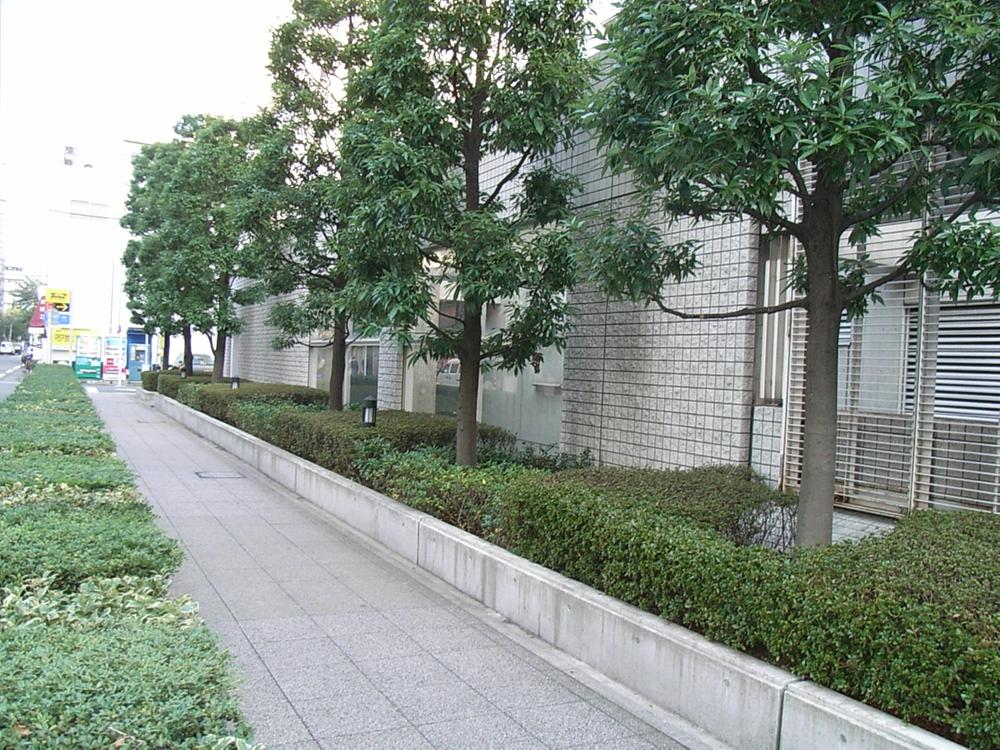 Other local. Local (09 May 2013) Shooting