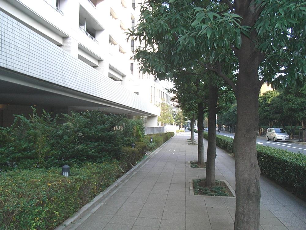 Other local. Local (09 May 2013) Shooting