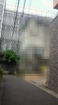 Local land photo. local