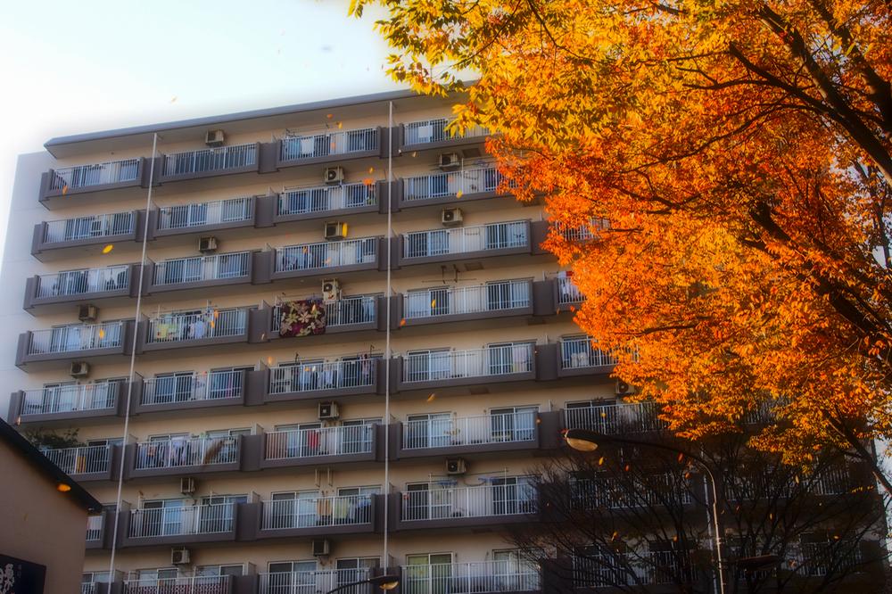 Local appearance photo. Local (12 May 2013) Shooting