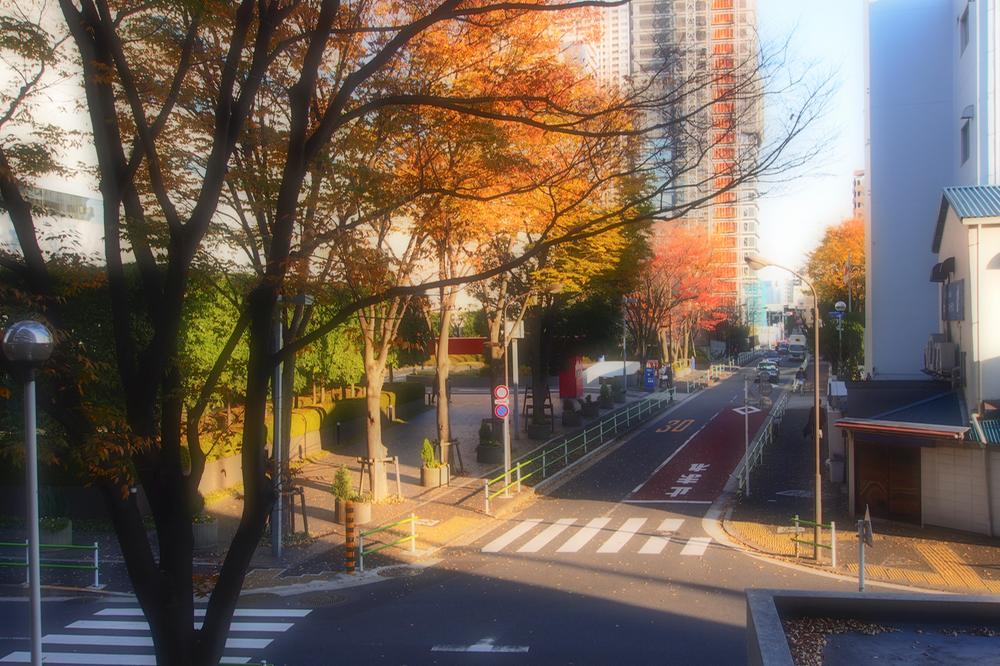 View photos from the dwelling unit. View from the site (December 2013) Shooting