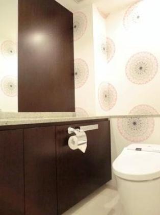 Toilet. Indoor (12 May 2013) Shooting