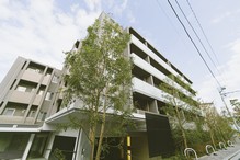 PLACE / Minato-ku, platinum 6-chome. Wrap green and tranquility, Hill of the residential area