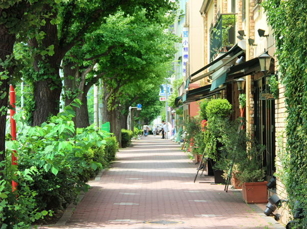 Surrounding environment. Platinum Street (about 650m ・ A 9-minute walk)