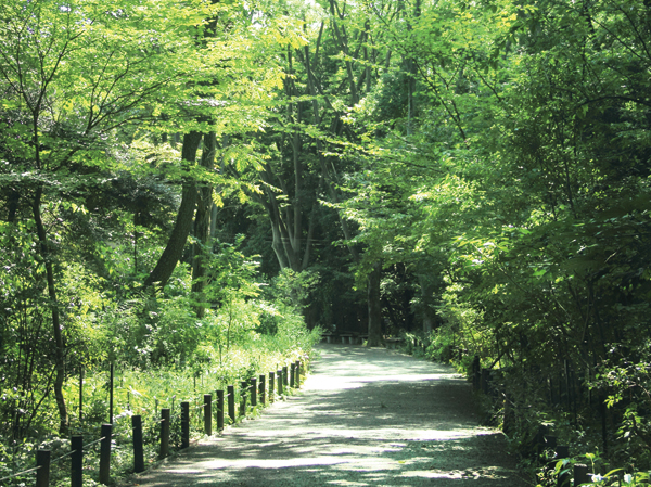 Surrounding environment. National Nature Study (about 950m ・ A 12-minute walk)