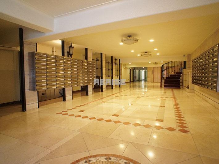 Entrance. Feeling of luxury, Entrance such as hotels