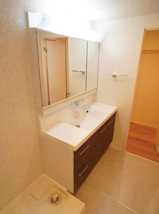 Wash basin, toilet. Vanity with a shower head