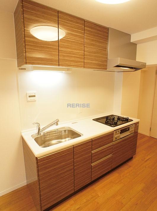 Kitchen. Water purifier built-in system kitchen