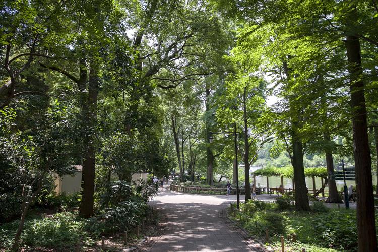 park. 60m to Inokashira Park