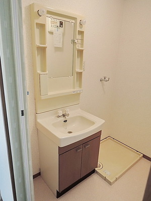 Washroom. Independent wash basin and washing machine inside the yard