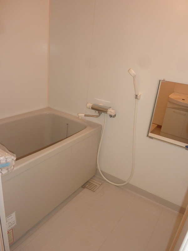 Bath. Same type of interior