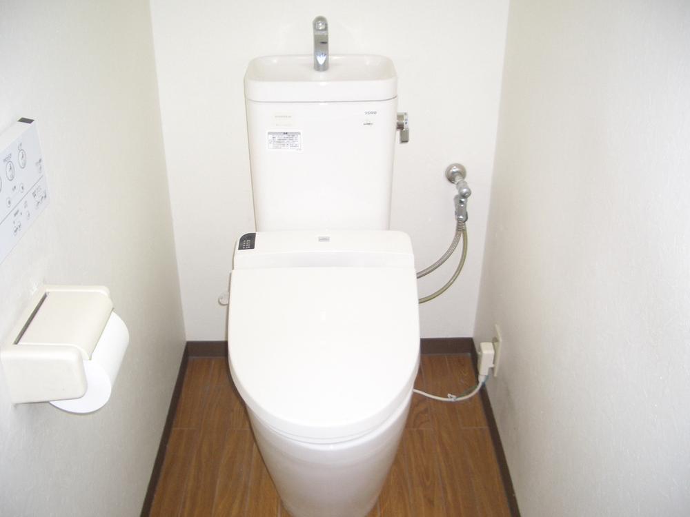 Toilet. Clean toilet