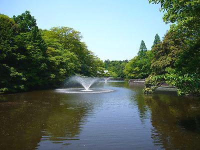 park. To Inokashira Park 480m