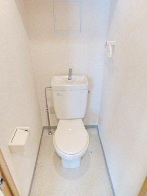 Toilet. toilet