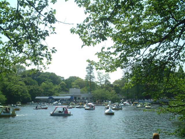 park. 420m to Inokashira Park (park)