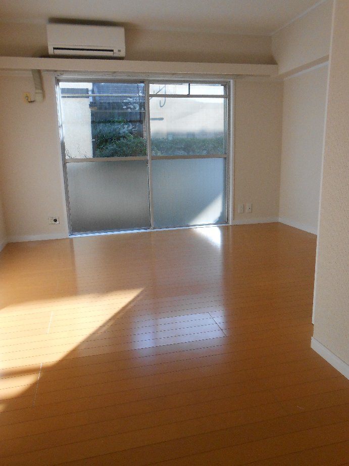 Living and room. The apartment in another room photo