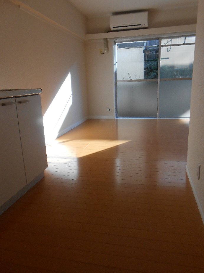 Living and room. Bright living room also on the first floor (another room)