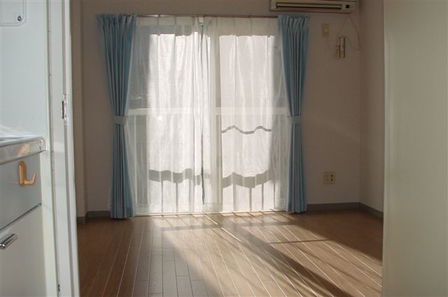 Living and room. South-facing bright room