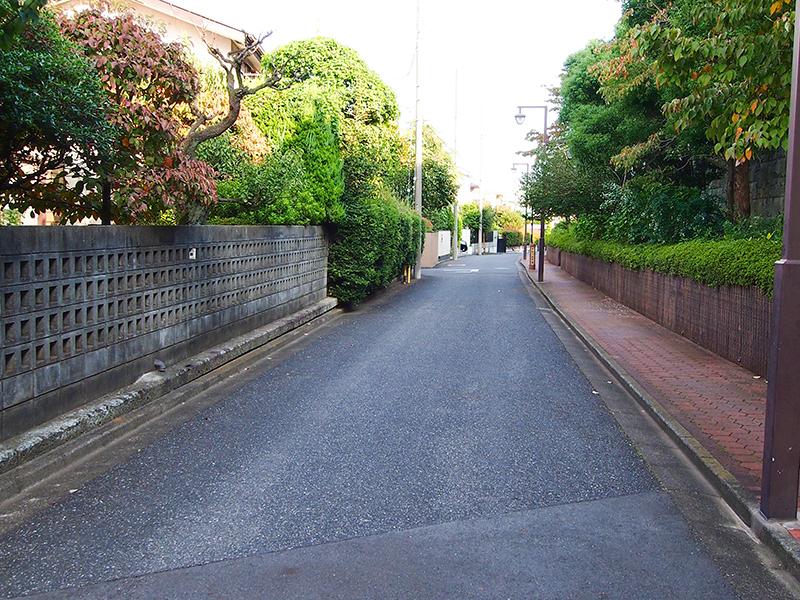 Streets around. 50m to the rooftops of surrounding local