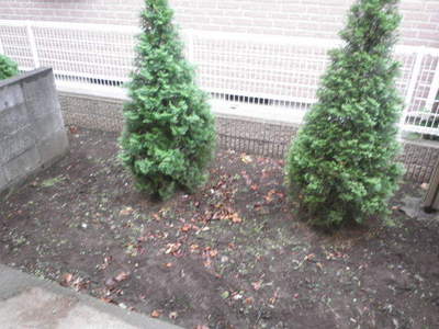 Garden. Your garden spacious