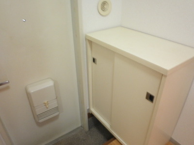 Entrance. Entrance footwear input