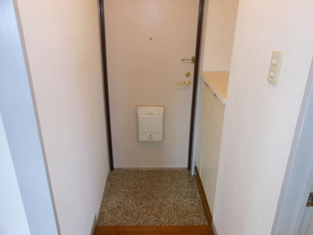 Entrance. Stylish tile with cupboard