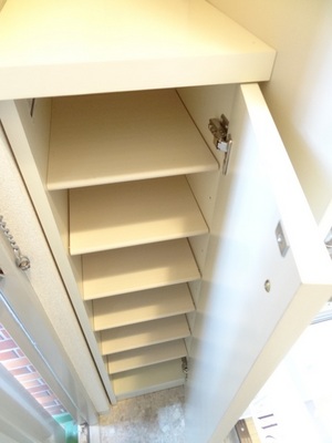 Entrance. Shoe box equipped