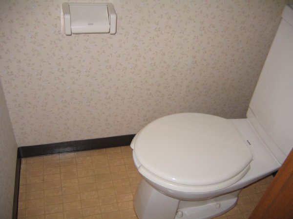 Toilet