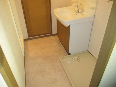 Washroom. Spacious washroom