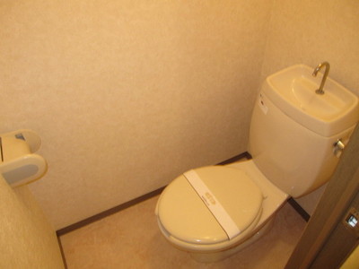Toilet. Clean toilet