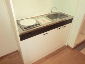 Kitchen. Kitchen will be IH stove