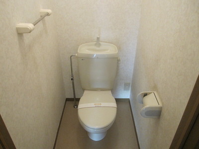 Toilet. Clean toilet