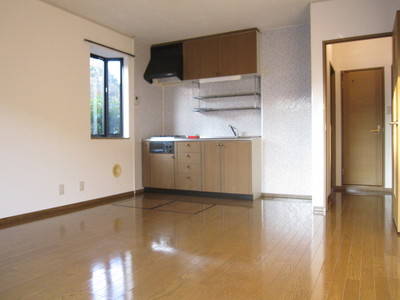 Living and room. Airy living