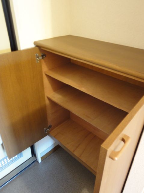 Other Equipment. You can shoes lot storage.