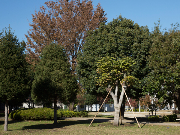 Surrounding environment. Waxwing Central Park (about 930m ・ A 12-minute walk)