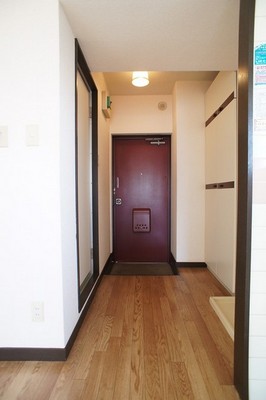 Entrance. Entrance hall of the room ☆