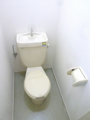 Toilet. Toilet