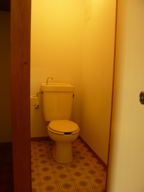 Toilet. Bus is a toilet!