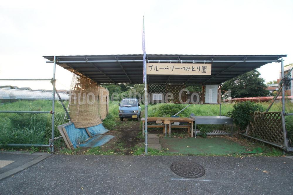 Other. Blueberry picking Gardens