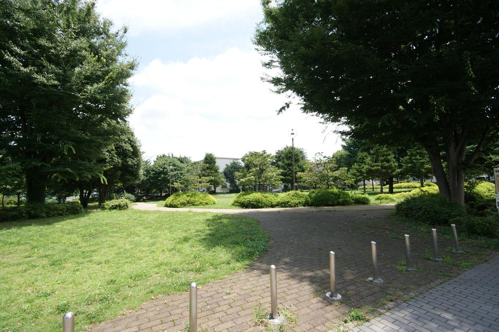 Other. Waxwing Central Park